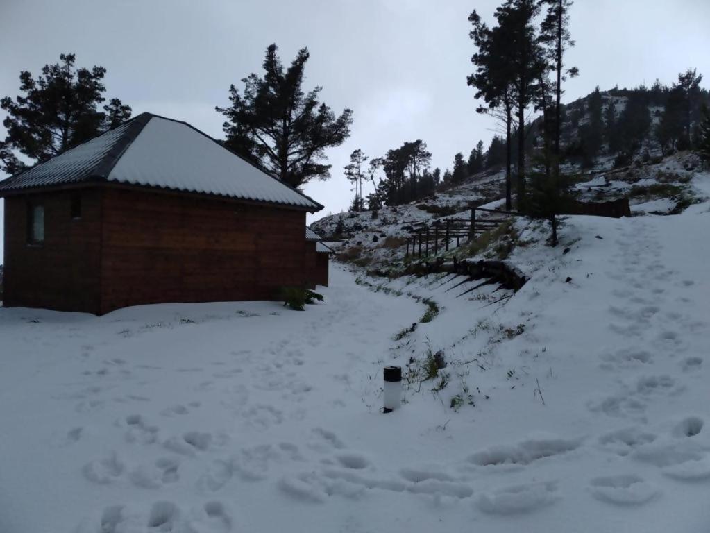 Отель Mountain Eco Shelter 2 Фуншал Экстерьер фото